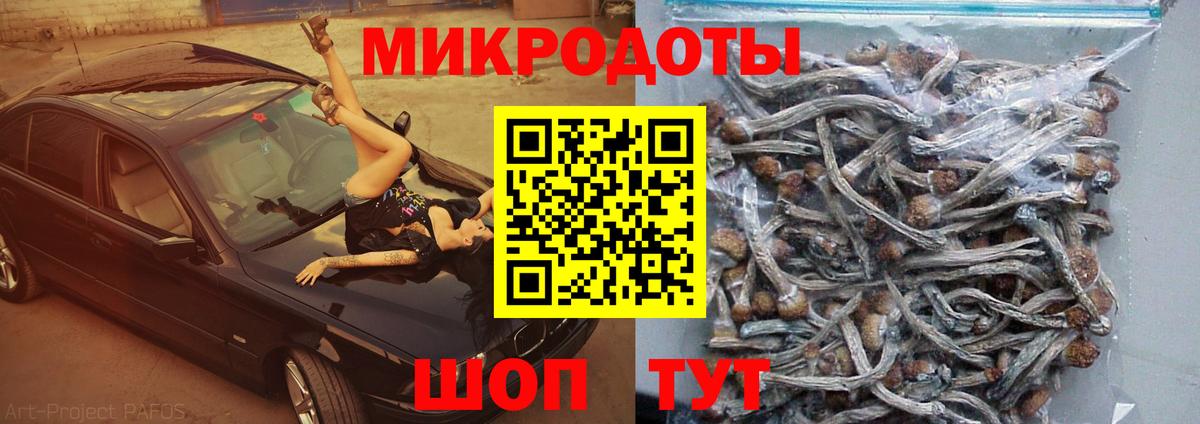 Псилоцибиновые грибы GOLDEN TEACHER  Псилоцибиновые грибы мухоморы  Орехово-Зуево  Вход с VPN 